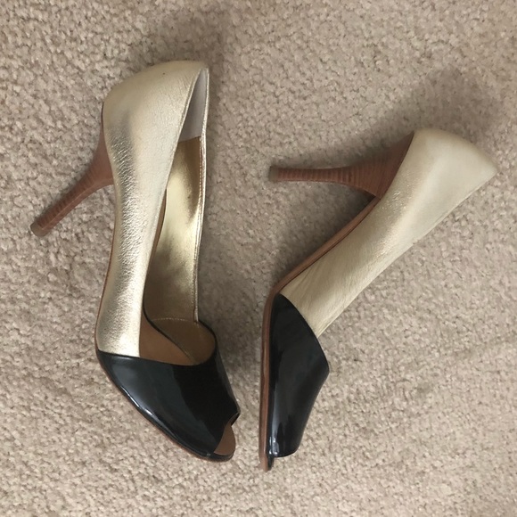 Giuseppe Zanotti - Picture 6 of 8